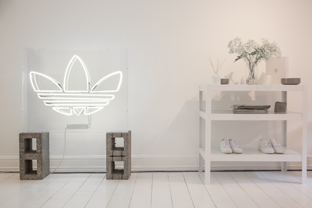 Adidas utilized AI visual search in an innovative campaign